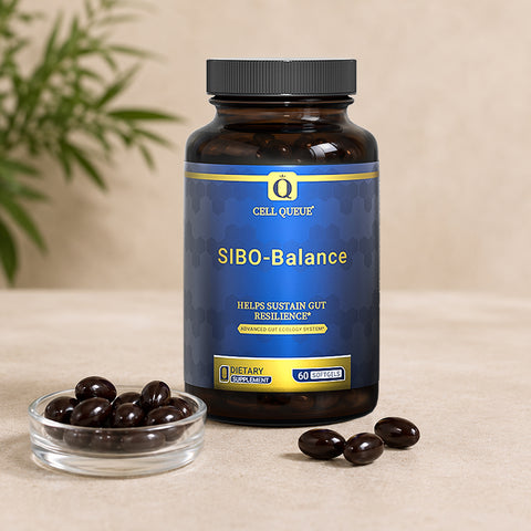 SIBO-Balance – Supports Gut Resilience & Ecology
